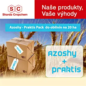 Sharda - Azoshy + Praktis 