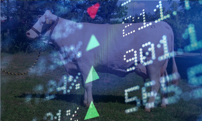 AGROMAGAZÍN – prognóza cien zookomodít a energií pre 25. týždeň 2024. Ropa znovu blízko 85 USD za barel