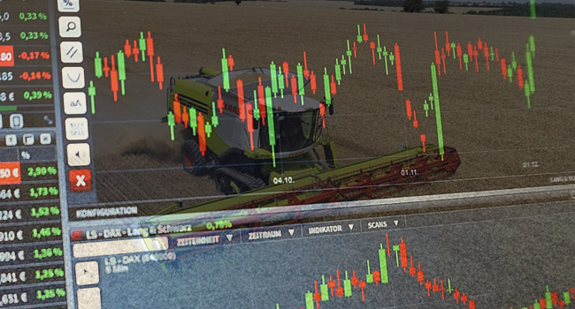 AGROMAGAZÍN – prognóza cien plodín pre 31 až 33. týždeň 2024. Olejniny s citeľnými cenovými stratami