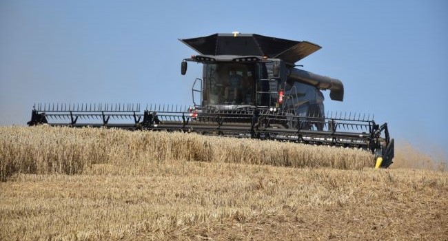 USA: Koľko pšenice skutočne vymlátia americkí farmári?