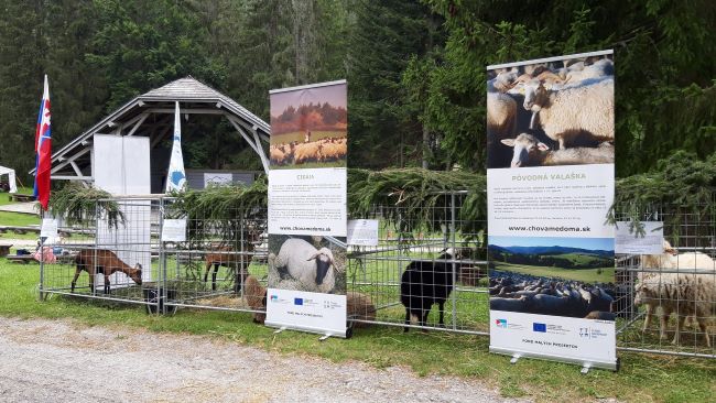 8. ročník Chovateľského dňa v skanzene: Deň slovenských plemien