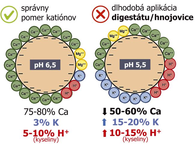 Calmit obrazok 1