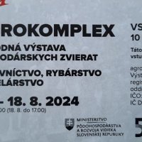 AX vstupenka